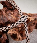 [?Eternal Jewelry?] High-End Bespoke Black Onyx Serpent Necklace - 图片 8
