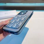 Dior Card Holder Phone Case Lychee Pattern Magnetic Case - 图片 16